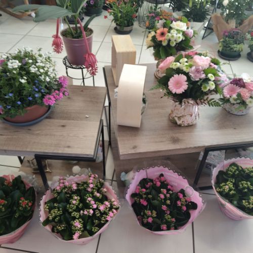 fleuriste camelia braine