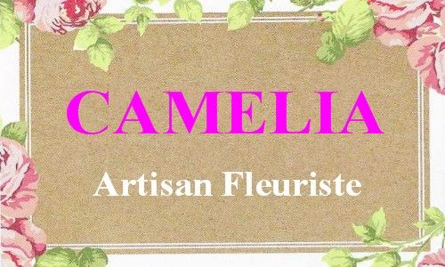 fleuriste camelia braine